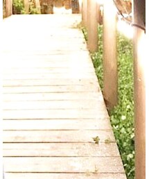 Levi's | デニムパンツ