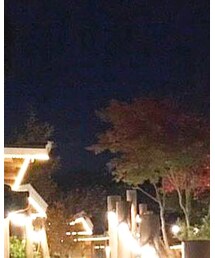 UNIQLO | ニット/セーター