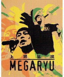 頭の中は音楽♪ | 今日はMEGARYUの[夜空に咲く花]です♪(その他)