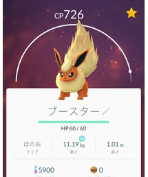 PokémonGO!! | その他