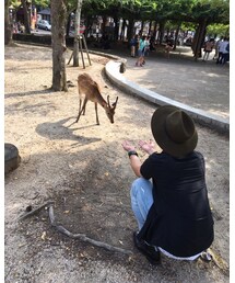 ちょいちょい､こっちへ来い🎵鹿Ver. | その他