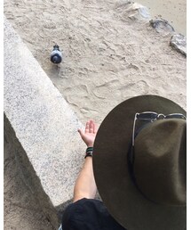 ちょいちょい､こっちへ来い🎵鳩Ver. | その他