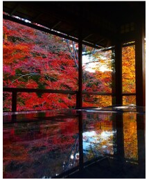 紅葉🎵 | その他