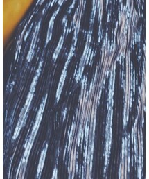 韓国 明洞 Lucky Factory | スカート