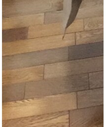 UNIQLO | パーカー