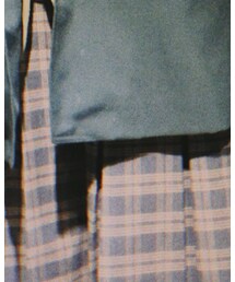 F i.n.t | スカート