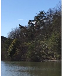 PLST | ダウンジャケット/コート