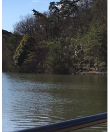 UNIQLO | シャツ/ブラウス