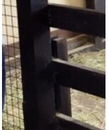 Nudie Jeans | デニムパンツ