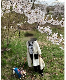 散歩コーデ | 散歩がてら🌸(ペットウェア)