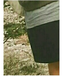 Fabulous | スカート