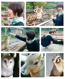 動物いっぱい🐥🐥🐥 | その他