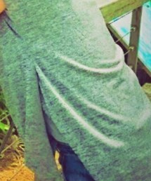 ZARA | Tシャツ/カットソー