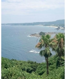 伊豆の海 | その他