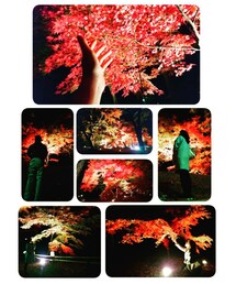 インスタ映え | その他