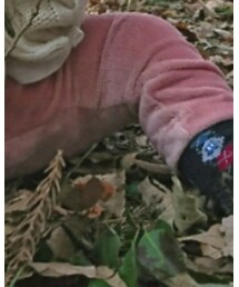 西松屋 | その他パンツ