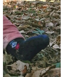 Familiar  | ソックス/靴下