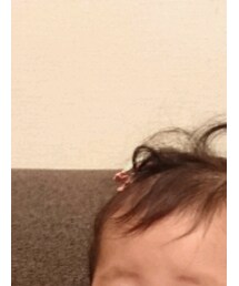 ﾀﾞｲｿｰ | ヘアピン