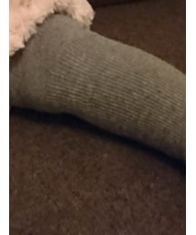 しまむら | タイツ/ストッキング