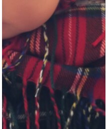 Smoothy | マフラー