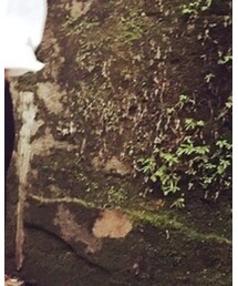 adidas Originals | スニーカー