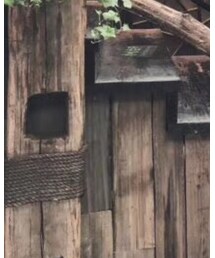 🐹 | その他