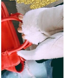 RESEXXY | ハンドバッグ