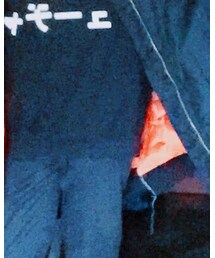 Dickies | その他パンツ