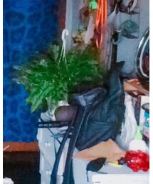 VII&CO | チェスターコート