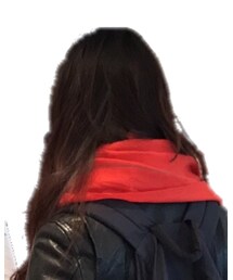 ARTS & SCIENCE | マフラー