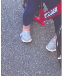TOMS | スリッポン