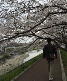 桜並木⁇(その他)
