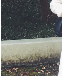 THE HINOKI | ワンピース