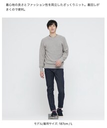 UNIQLO | ウォッシュミドルゲージクルーネックセーター(ニット/セーター)