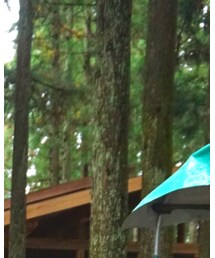 RETRO GIRL | ハンチング/ベレー帽