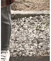 adidas | スニーカー