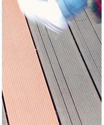 no brand | その他