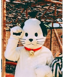 にゃんまげ | マタニティウェア/グッズ