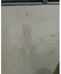 lamps | スカート