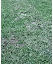 blueerror | チノパンツ