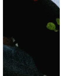 VANS | Tシャツ/カットソー