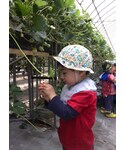 アンパンマンの「帽子(ハット)」