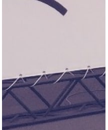 ZARA | Tシャツ/カットソー