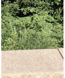 UNIQLO | その他パンツ