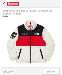 Supreme × THE NORTH FACE | (その他トップス)