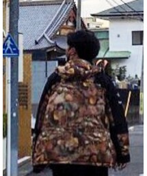 Supreme  | マウンテンパーカー