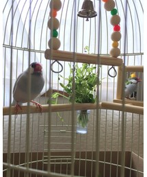 ぶんちゃん♡ | その他