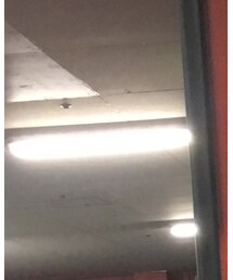 BURBERRY | マフラー