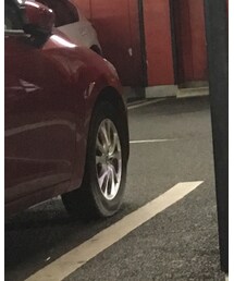 BEAUTY&YOUTH UNITED ARROWS | その他パンツ