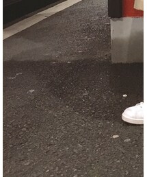 adidas | スニーカー